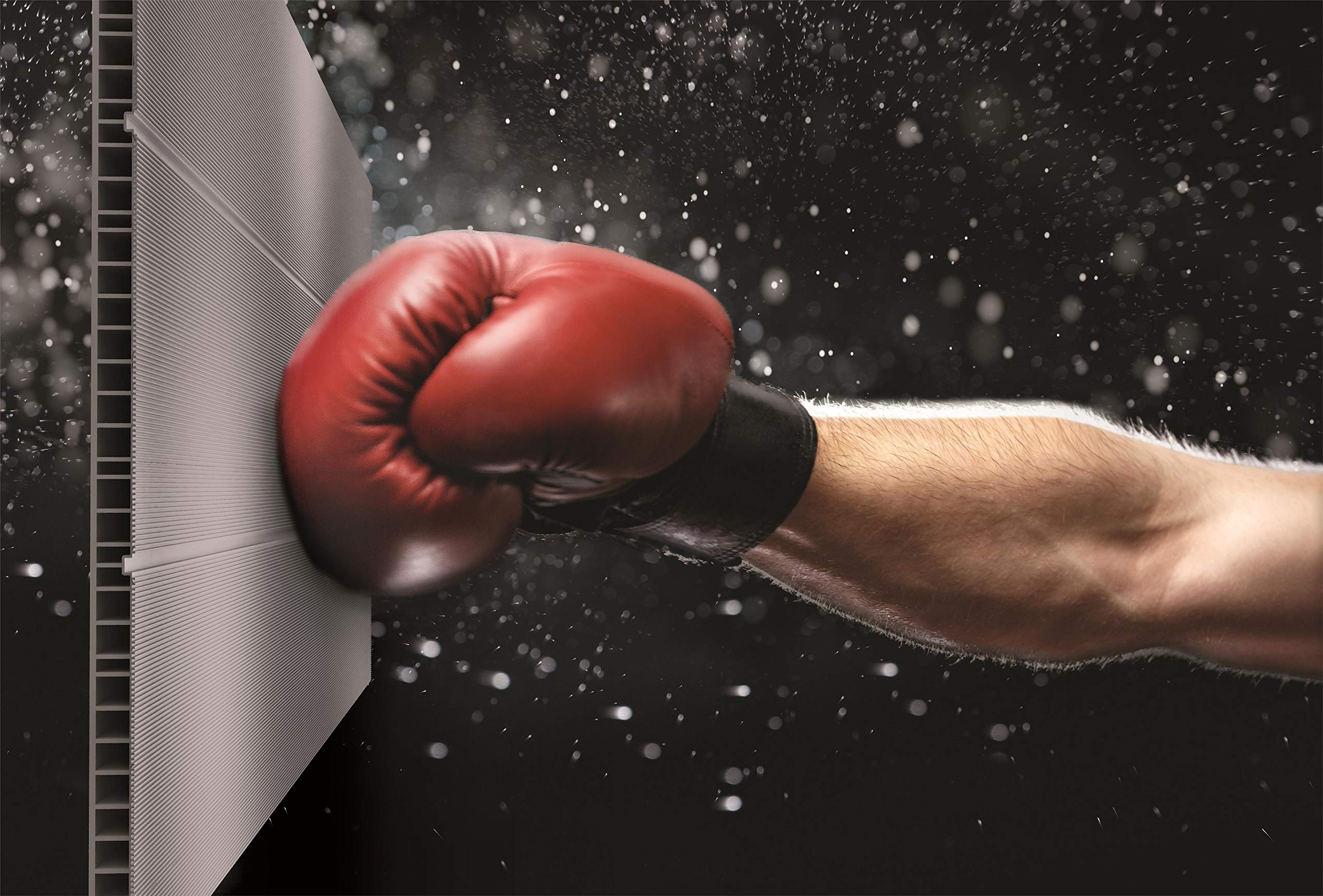 Keter Premier 7.5 x 7ft Double Door Outdoor Apex Plastic Garden Shed