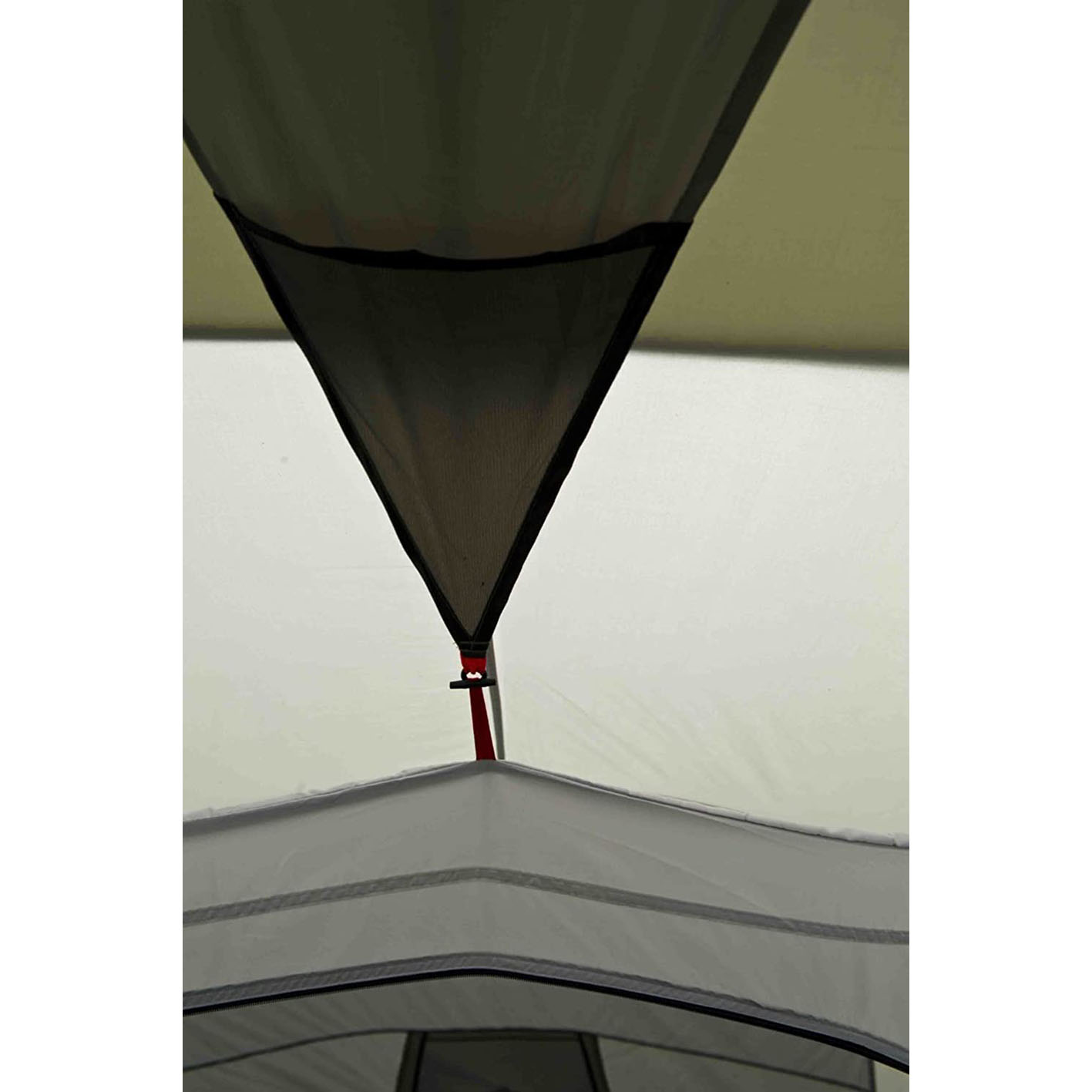 Coleman Tent Ridgeline 4 Plus, 4 Man Tent, 4 People Vis-A-Vis Tunnel Tent, Camping Tent, Dome Tent with Sun Roof, Waterproof HH 3.000 mm